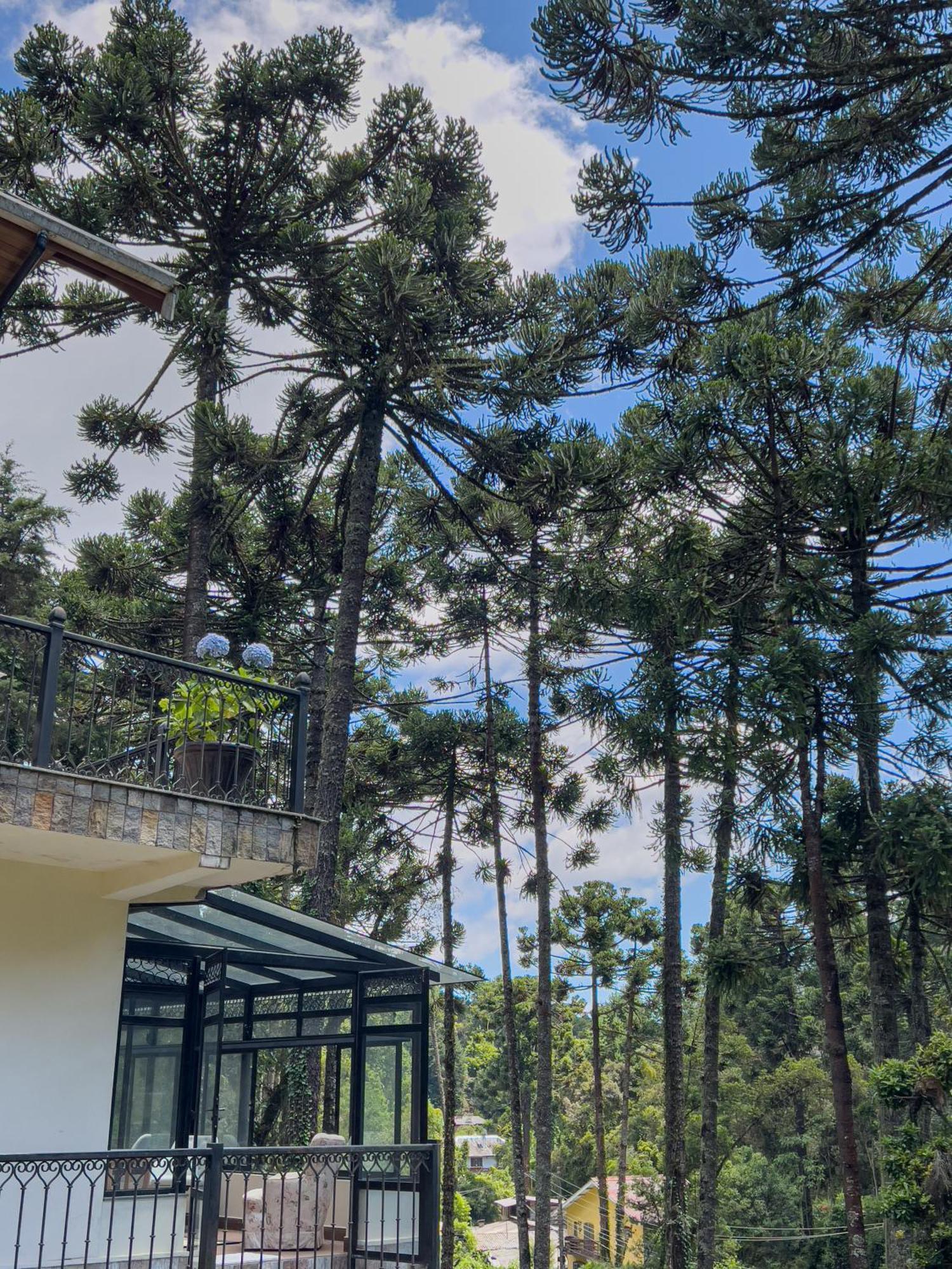 מלון Campos do Jordão Recanto Do Pepe מראה חיצוני תמונה