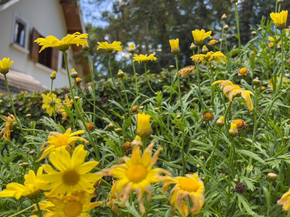 מלון Campos do Jordão Recanto Do Pepe מראה חיצוני תמונה